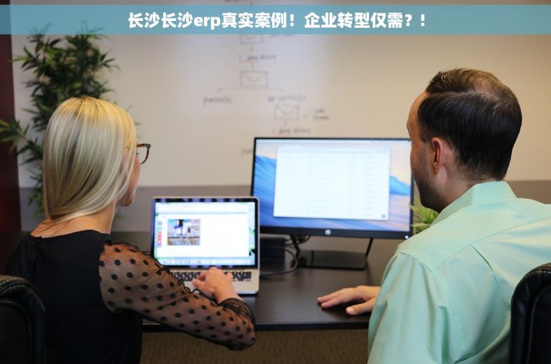 长沙长沙erp真实案例！企业转型仅需？!