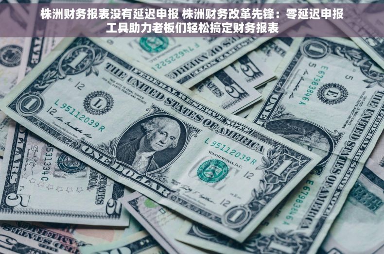 株洲财务报表没有延迟申报 株洲财务改革先锋：零延迟申报工具助力老板们轻松搞定财务报表