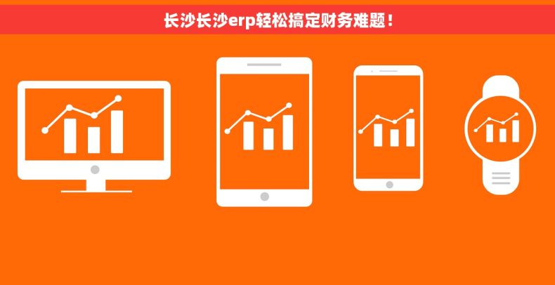 长沙长沙erp轻松搞定财务难题！