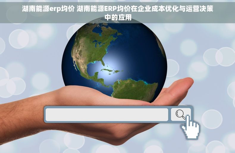 湖南能源erp均价 湖南能源ERP均价在企业成本优化与运营决策中的应用