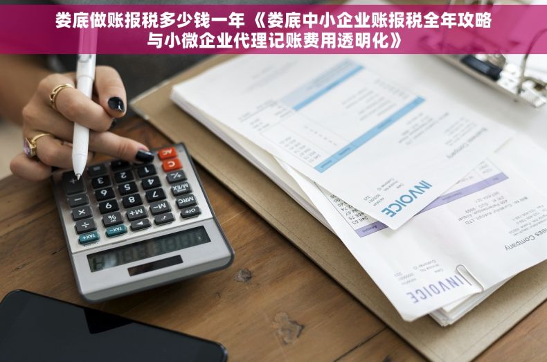 娄底做账报税多少钱一年 《娄底中小企业账报税全年攻略与小微企业代理记账费用透明化》
