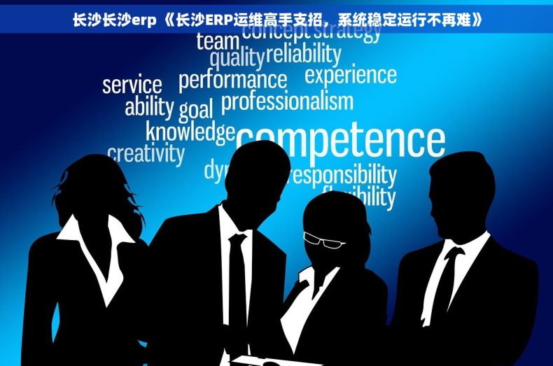 长沙长沙erp 《长沙ERP运维高手支招，系统稳定运行不再难》