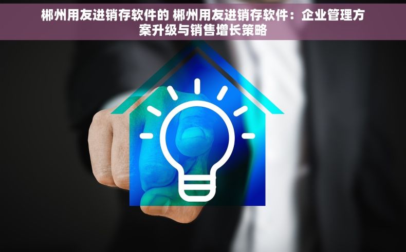 郴州用友进销存软件的 郴州用友进销存软件：企业管理方案升级与销售增长策略
