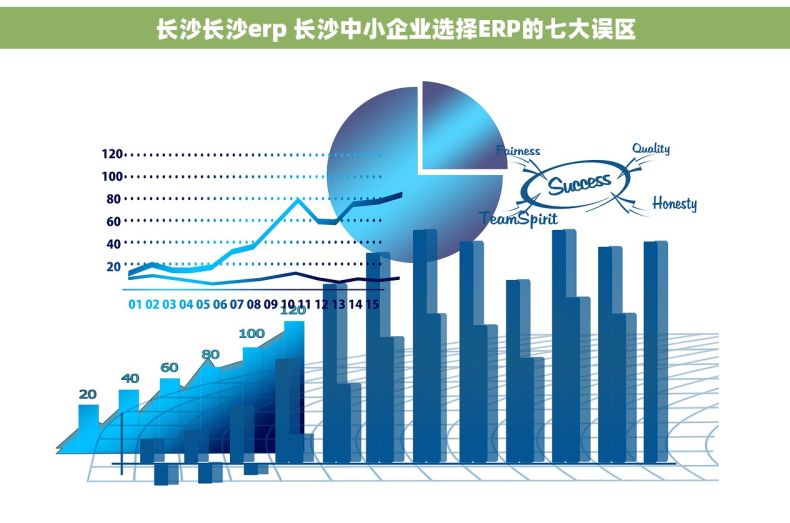 长沙长沙erp 长沙中小企业选择ERP的七大误区