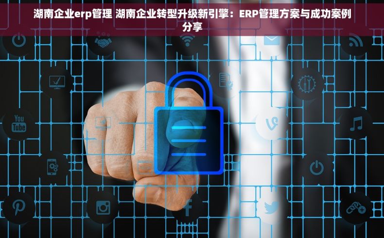 湖南企业erp管理 湖南企业转型升级新引擎：ERP管理方案与成功案例分享