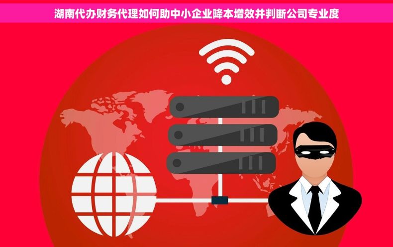 湖南代办财务代理如何助中小企业降本增效并判断公司专业度