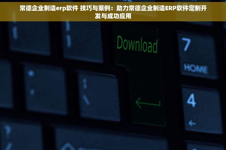 常德企业制造erp软件 技巧与案例：助力常德企业制造ERP软件定制开发与成功应用