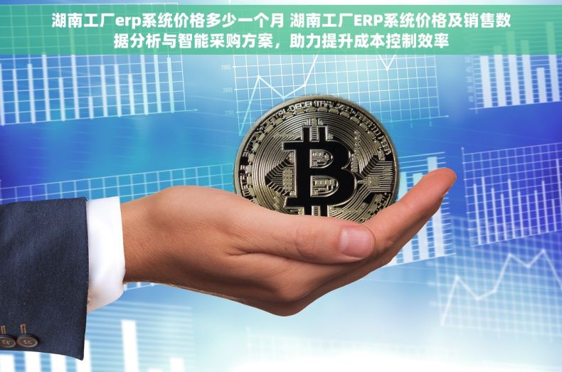 湖南工厂erp系统价格多少一个月 湖南工厂ERP系统价格及销售数据分析与智能采购方案，助力提升成本控制效率