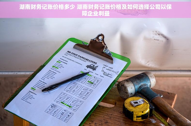 湖南财务记账价格多少 湖南财务记账价格及如何选择公司以保障企业利益