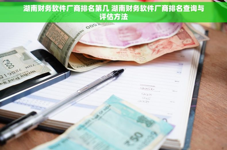 湖南财务软件厂商排名第几 湖南财务软件厂商排名查询与评估方法