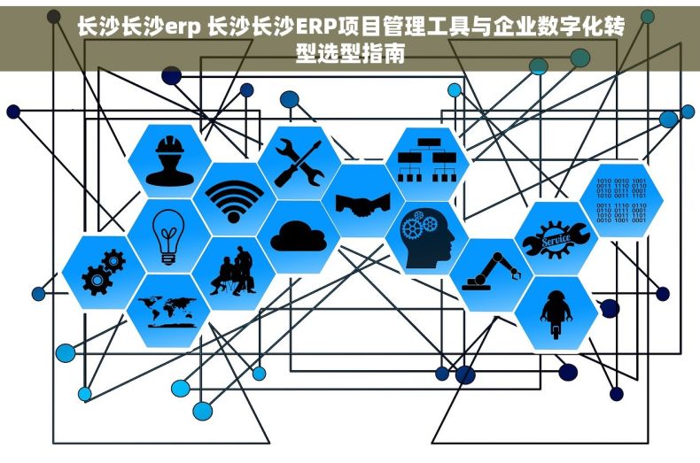 长沙长沙erp 长沙长沙ERP项目管理工具与企业数字化转型选型指南