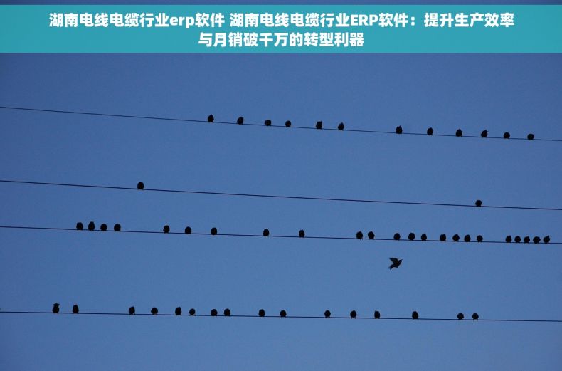 湖南电线电缆行业erp软件 湖南电线电缆行业ERP软件：提升生产效率与月销破千万的转型利器
