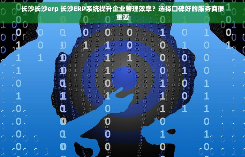 长沙长沙erp 长沙ERP系统提升企业管理效率？选择口碑好的服务商很重要