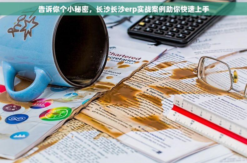 告诉你个小秘密，长沙长沙erp实战案例助你快速上手