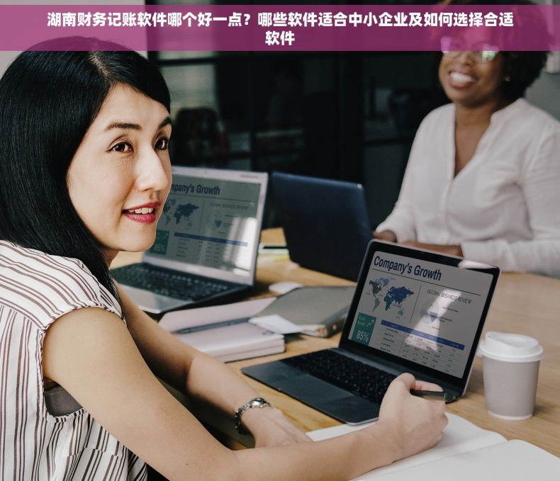 湖南财务记账软件哪个好一点？哪些软件适合中小企业及如何选择合适软件