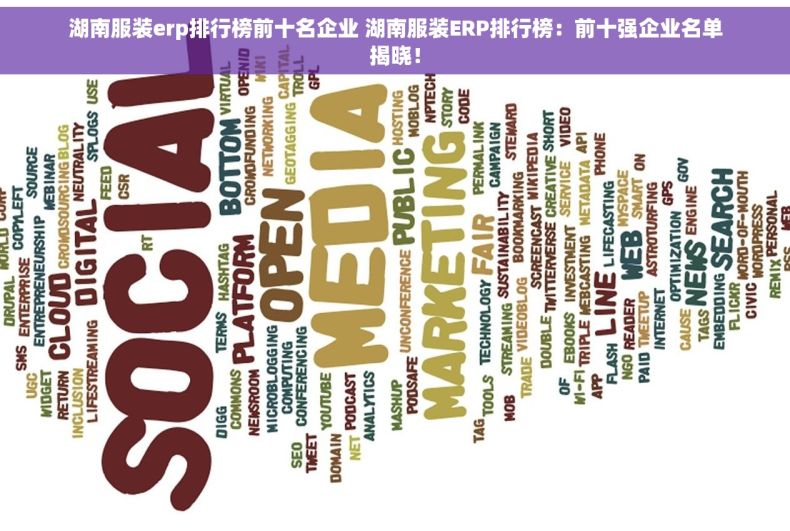 湖南服装erp排行榜前十名企业 湖南服装ERP排行榜：前十强企业名单揭晓！