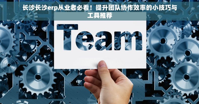长沙长沙erp从业者必看！提升团队协作效率的小技巧与工具推荐