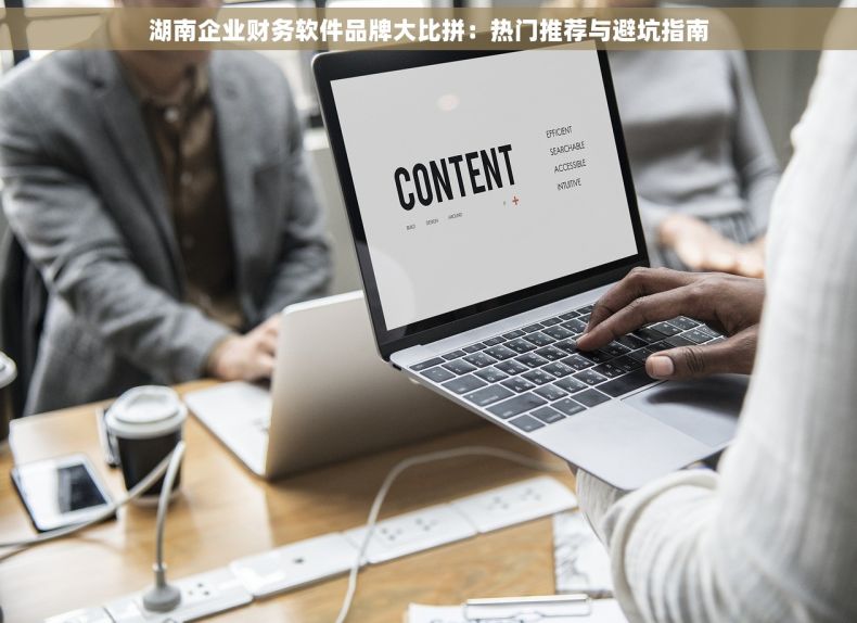湖南企业财务软件品牌大比拼：热门推荐与避坑指南