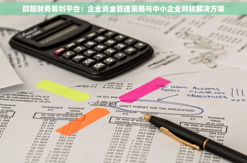 邵阳财务筹划平台：企业资金管理策略与中小企业财税解决方案