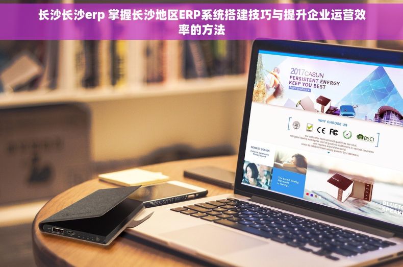 长沙长沙erp 掌握长沙地区ERP系统搭建技巧与提升企业运营效率的方法