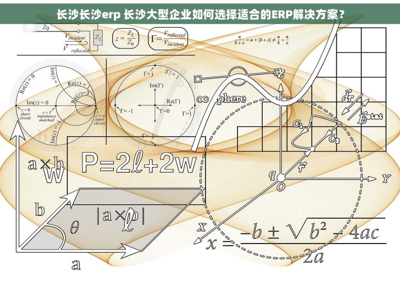 长沙长沙erp 长沙大型企业如何选择适合的ERP解决方案？