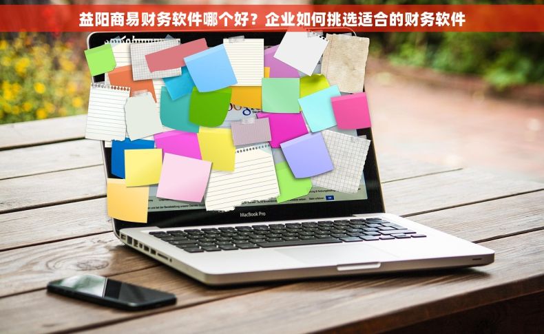 益阳商易财务软件哪个好？企业如何挑选适合的财务软件