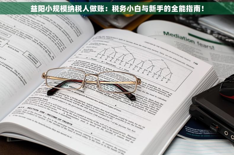 益阳小规模纳税人做账：税务小白与新手的全能指南！