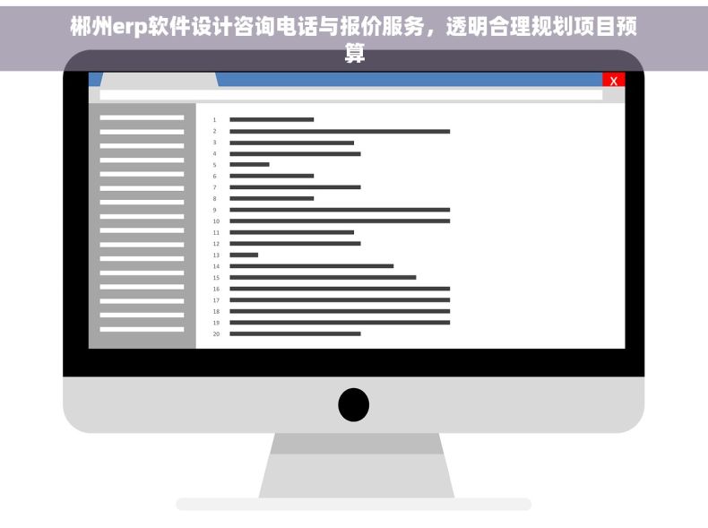 郴州erp软件设计咨询电话与报价服务，透明合理规划项目预算
