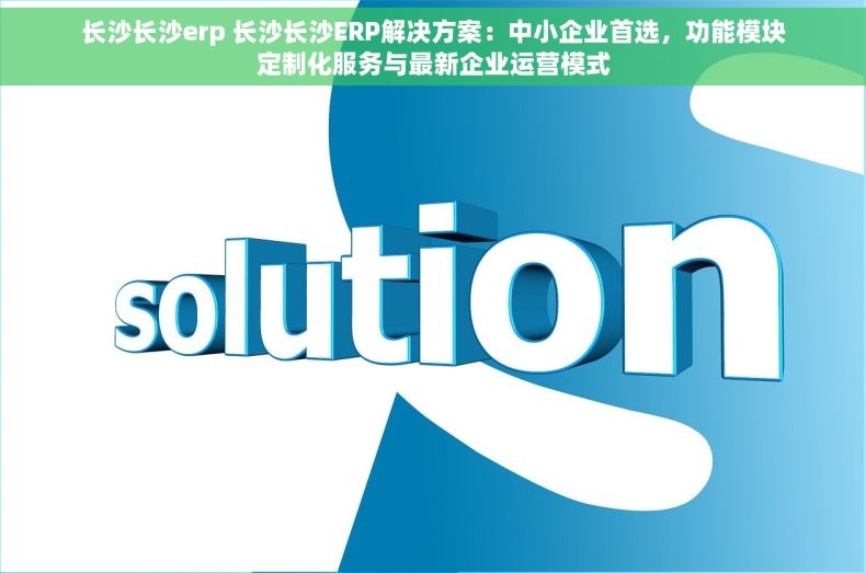 长沙长沙erp 长沙长沙ERP解决方案：中小企业首选，功能模块定制化服务与最新企业运营模式