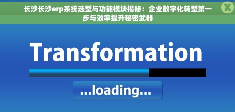 长沙长沙erp系统选型与功能模块揭秘：企业数字化转型第一步与效率提升秘密武器