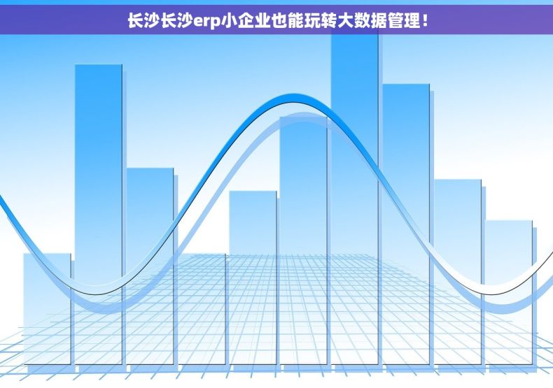 长沙长沙erp小企业也能玩转大数据管理！