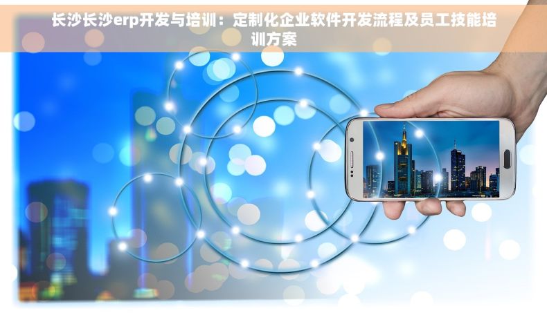 长沙长沙erp开发与培训：定制化企业软件开发流程及员工技能培训方案