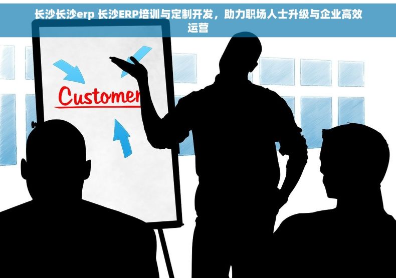 长沙长沙erp 长沙ERP培训与定制开发，助力职场人士升级与企业高效运营