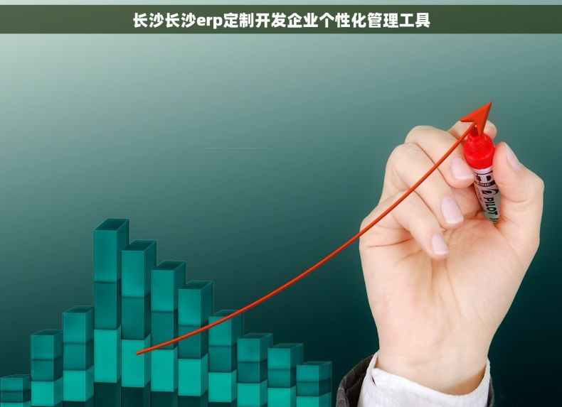 长沙长沙erp定制开发企业个性化管理工具