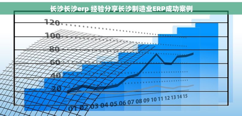 长沙长沙erp 经验分享长沙制造业ERP成功案例