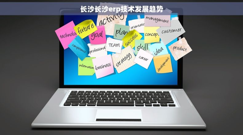 长沙长沙erp技术发展趋势