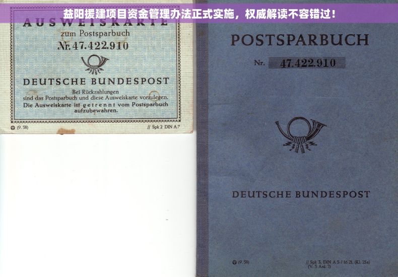 益阳援建项目资金管理办法正式实施，权威解读不容错过！