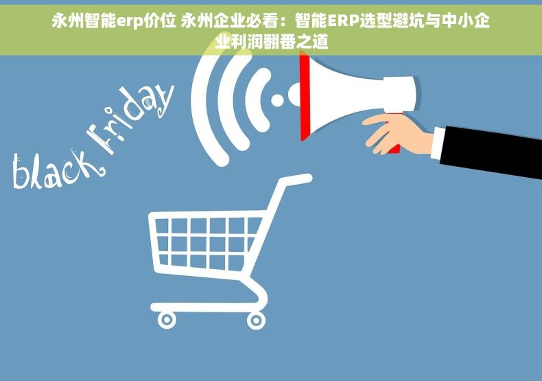 永州智能erp价位 永州企业必看：智能ERP选型避坑与中小企业利润翻番之道