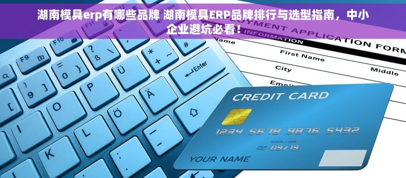 湖南模具erp有哪些品牌 湖南模具ERP品牌排行与选型指南，中小企业避坑必看！
