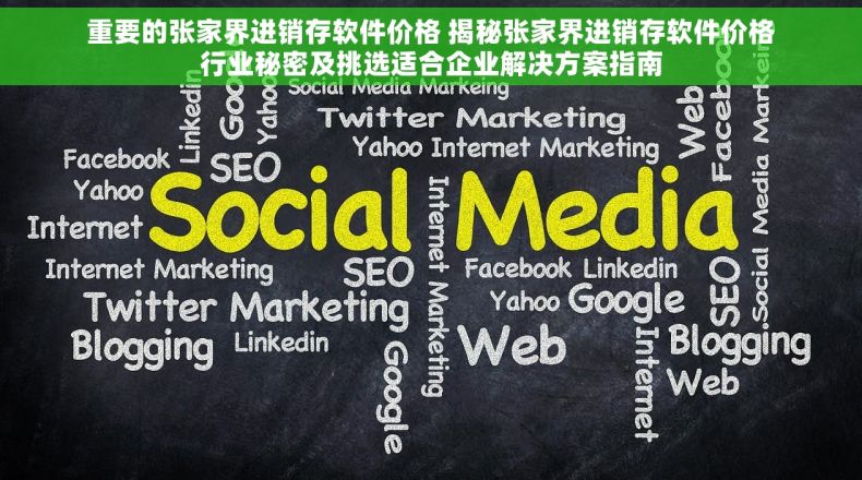 重要的张家界进销存软件价格 揭秘张家界进销存软件价格行业秘密及挑选适合企业解决方案指南