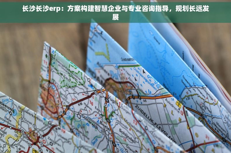 长沙长沙erp：方案构建智慧企业与专业咨询指导，规划长远发展
