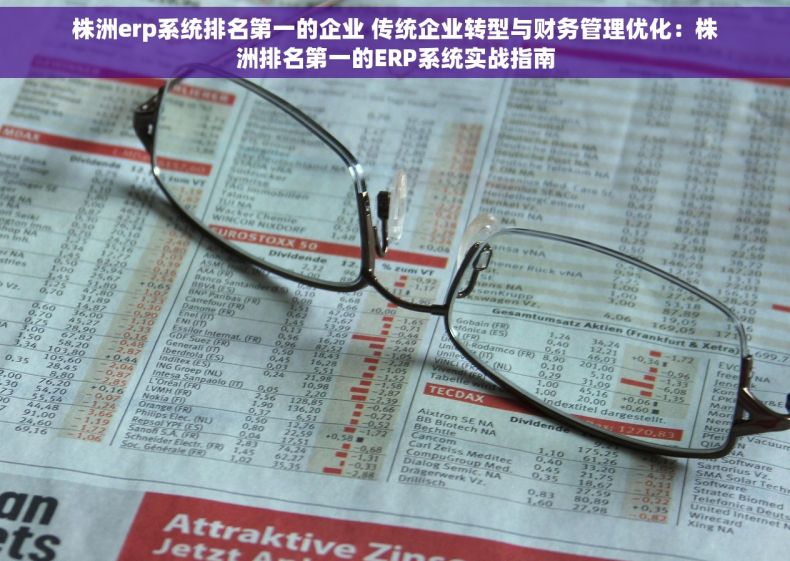 株洲erp系统排名第一的企业 传统企业转型与财务管理优化：株洲排名第一的ERP系统实战指南
