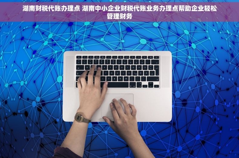 湖南财税代账办理点 湖南中小企业财税代账业务办理点帮助企业轻松管理财务