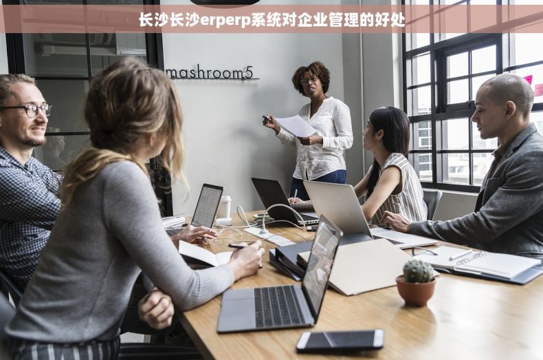 长沙长沙erperp系统对企业管理的好处