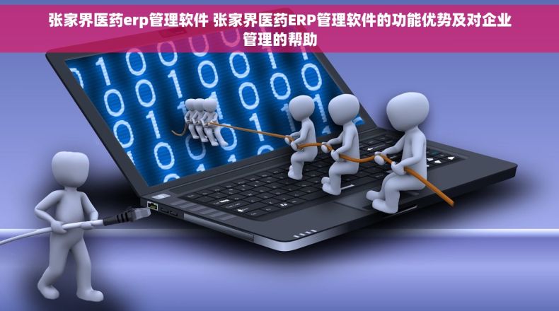 张家界医药erp管理软件 张家界医药ERP管理软件的功能优势及对企业管理的帮助