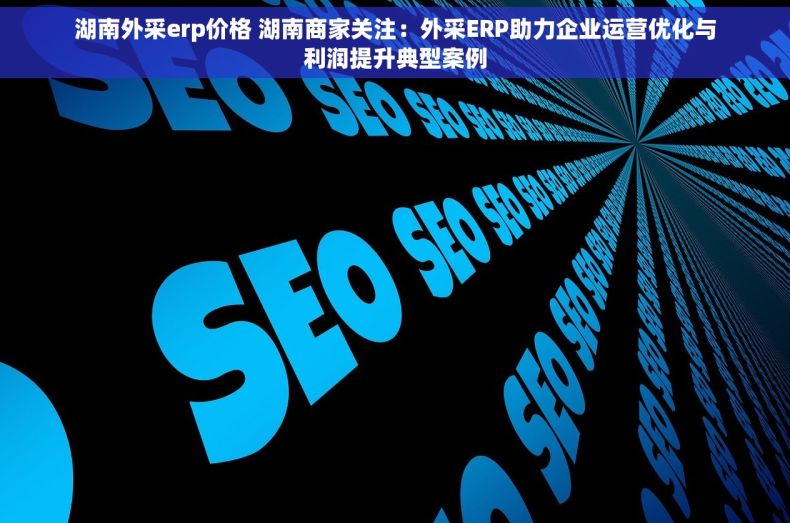 湖南外采erp价格 湖南商家关注：外采ERP助力企业运营优化与利润提升典型案例