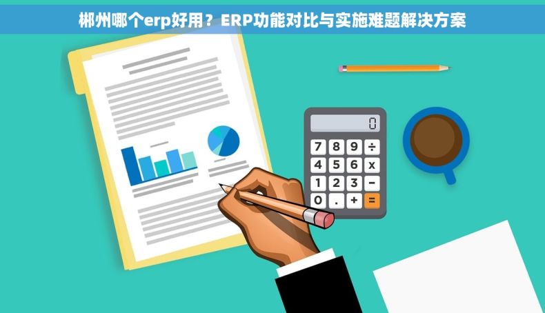 郴州哪个erp好用？ERP功能对比与实施难题解决方案