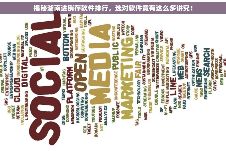 揭秘湖南进销存软件排行，选对软件竟有这么多讲究！