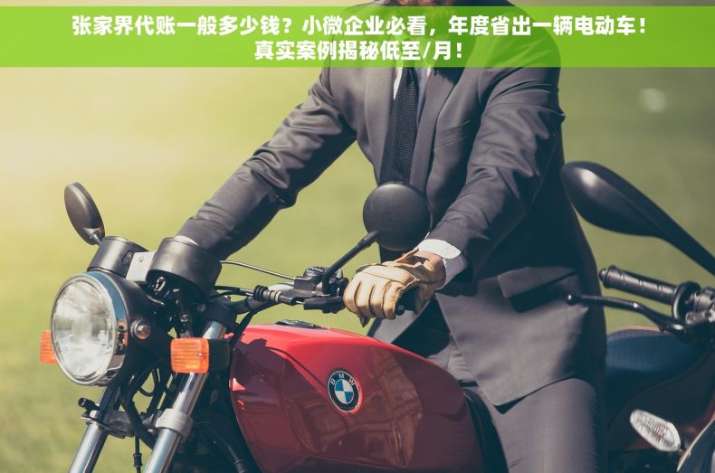 张家界代账一般多少钱？小微企业必看，年度省出一辆电动车！真实案例揭秘低至/月！