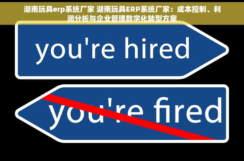 湖南玩具erp系统厂家 湖南玩具ERP系统厂家：成本控制、利润分析与企业管理数字化转型方案